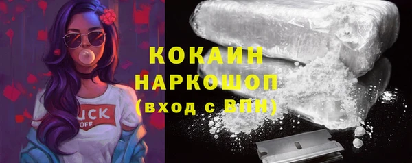трава Белокуриха