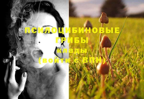 PSILOCYBIN Беломорск