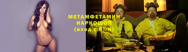 трава Белокуриха
