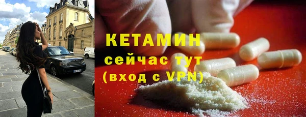трава Белокуриха