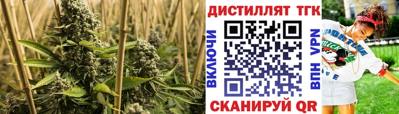 Купить закладки  Аркадак  ТГК Wax 
